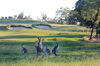 Riverside Oaks Golf Resort - Accommodation Sunshine Coast 1