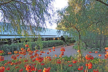 Casuarina Estate - Accommodation Sunshine Coast 49