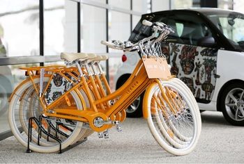 Art Series - The Larwill Studio - Accommodation Sunshine Coast 0