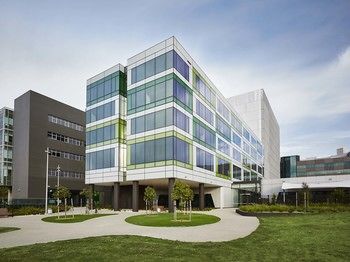 Art Series - The Larwill Studio - Accommodation Sunshine Coast 5