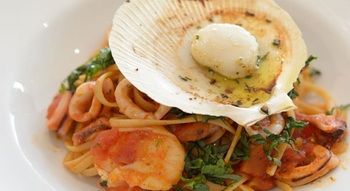 Miramare Gardens - Accommodation Sunshine Coast 8