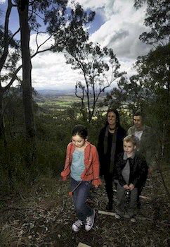 Eagleview Resort - Accommodation Sunshine Coast 28