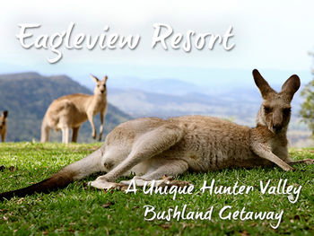 Eagleview Resort - Accommodation Sunshine Coast 45