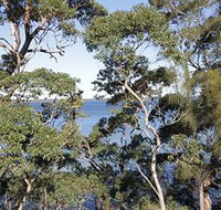 The Edgewater Bed amp Breakfast - Accommodation Sunshine Coast