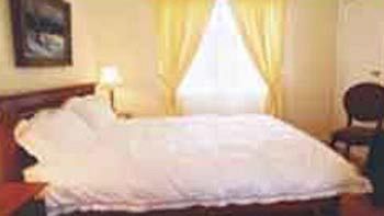 Bluebell Bed & Breakfast - Accommodation Sunshine Coast 5
