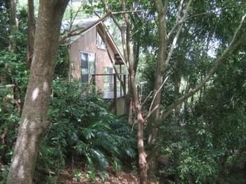 Belle's At Montville - Accommodation Sunshine Coast 0