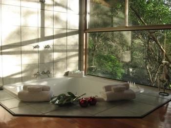 Belle's At Montville - Accommodation Sunshine Coast 13