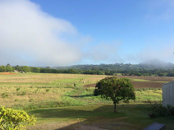 Eumundi Gridley Homestead B&B - Accommodation Sunshine Coast 6
