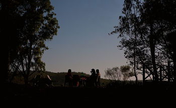 Ferndale - Accommodation Sunshine Coast 6