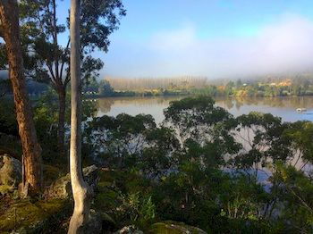 Ferndale - Accommodation Sunshine Coast 9