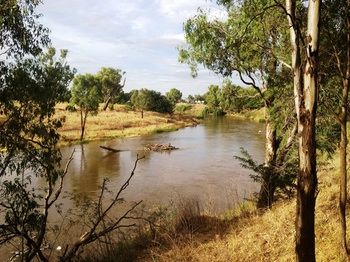 Ranelagh Bed And Breakfast - Accommodation Sunshine Coast 1