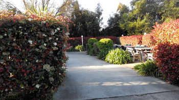 Branxton House Motel, Hunter Valley - Accommodation Sunshine Coast 13