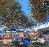 Alex Beach Cabins - Accommodation Sunshine Coast