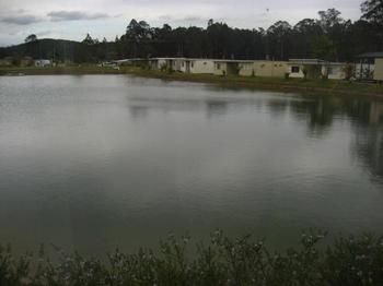 Australian Motor Homes Tourist Park - Accommodation Sunshine Coast 3
