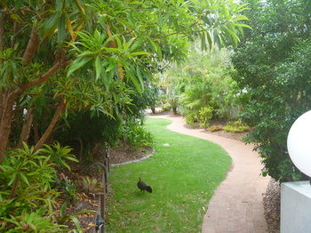Chez Noosa Resort Motel - Accommodation Sunshine Coast 21