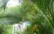 Chez Noosa Resort Motel - thumb 29