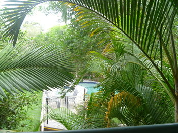 Chez Noosa Resort Motel - Accommodation Sunshine Coast 29