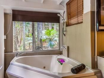 Tanglewood Gardens - Accommodation Sunshine Coast 17