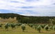 Hunter Homestead - thumb 7