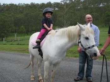 Hill Top Country Guest House - Accommodation Sunshine Coast 3