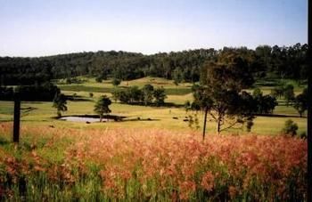 Hill Top Country Guest House - Accommodation Sunshine Coast 10