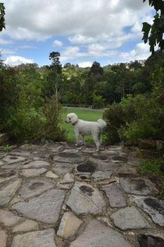 Coverdales B & B At Eumundi - Accommodation Sunshine Coast 23