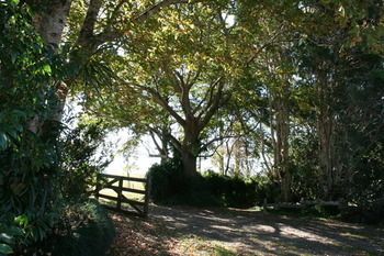 Maleny Mountain Retreat - Accommodation Sunshine Coast 2