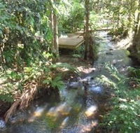 Treetops Accommodation Montville - Accommodation Sunshine Coast