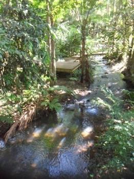 Treetops Accommodation Montville - Accommodation Sunshine Coast 0