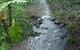 Treetops Accommodation Montville - thumb 4