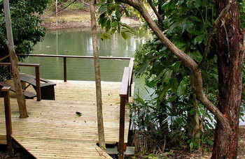 Treetops Accommodation Montville - Accommodation Sunshine Coast 8