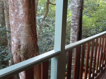 Treetops Accommodation Montville - Accommodation Sunshine Coast 9