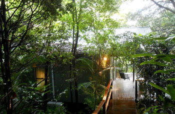 Treetops Accommodation Montville - Accommodation Sunshine Coast 12