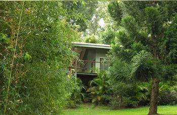 Treetops Accommodation Montville - Accommodation Sunshine Coast 13