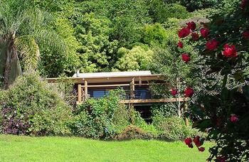 Treetops Accommodation Montville - Accommodation Sunshine Coast 14
