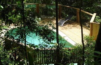 Treetops Accommodation Montville - Accommodation Sunshine Coast 16