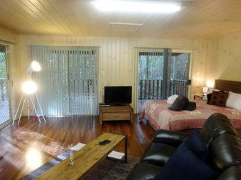 Treetops Accommodation Montville - Accommodation Sunshine Coast 19