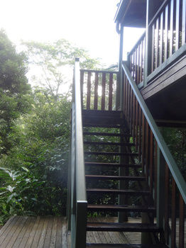 Treetops Accommodation Montville - Accommodation Sunshine Coast 21