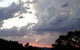 Treetops Accommodation Montville - thumb 26