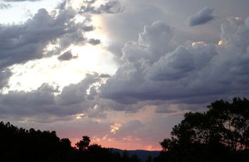 Treetops Accommodation Montville - Accommodation Sunshine Coast 26