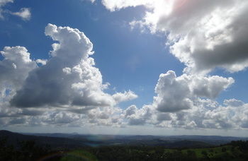 Treetops Accommodation Montville - Accommodation Sunshine Coast 28