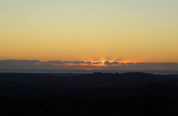 Treetops Accommodation Montville - Accommodation Sunshine Coast 29