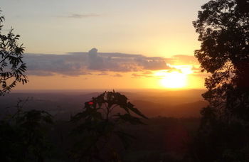 Treetops Accommodation Montville - Accommodation Sunshine Coast 30
