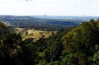 Treetops Accommodation Montville - Accommodation Sunshine Coast 31