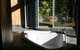 Treetops Accommodation Montville - thumb 34