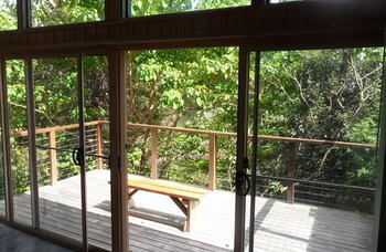 Treetops Accommodation Montville - Accommodation Sunshine Coast 51