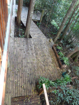 Treetops Accommodation Montville - Accommodation Sunshine Coast 53