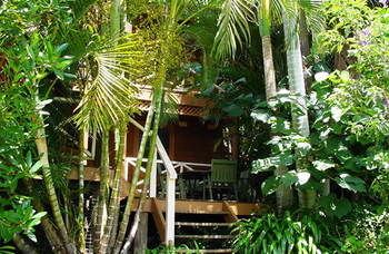 Treetops Accommodation Montville - Accommodation Sunshine Coast 54