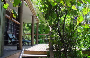 Treetops Accommodation Montville - Accommodation Sunshine Coast 59