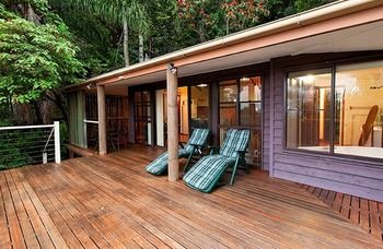 Treetops Accommodation Montville - Accommodation Sunshine Coast 61
